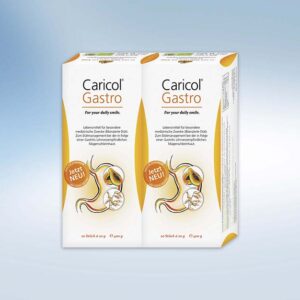 Diätisches Lebensmittel für die gute Verdauung Caricol Gastro 400g